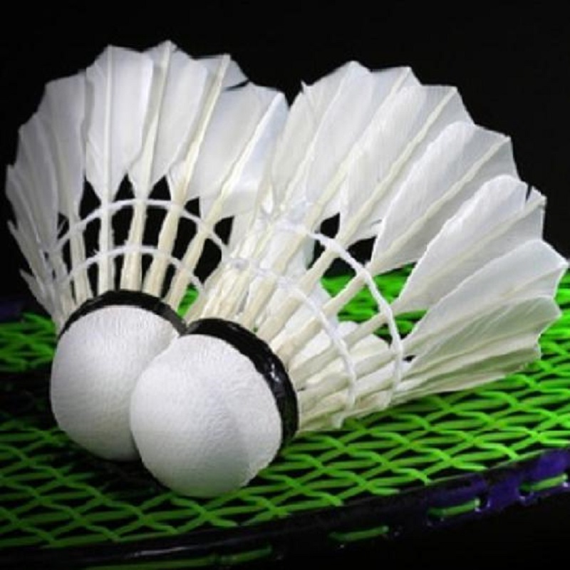 Badminton2